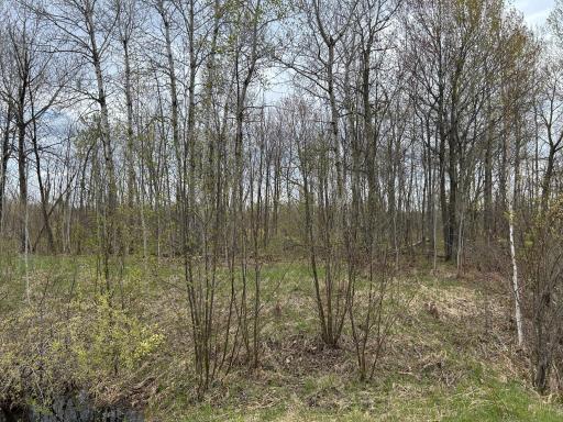 TBD 250th Street, Aitkin, MN 56431