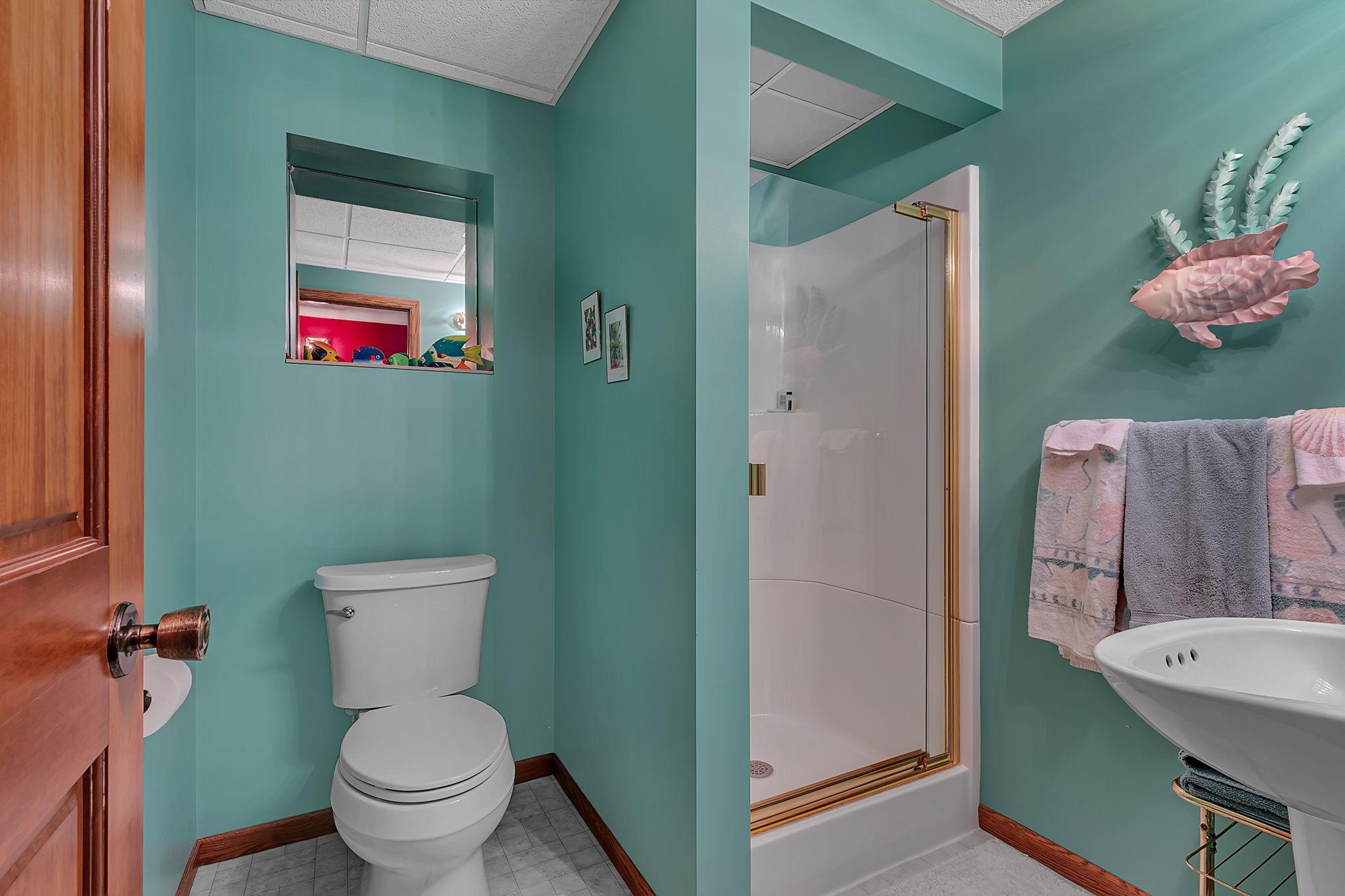 Lower level 3/4 bathroom.