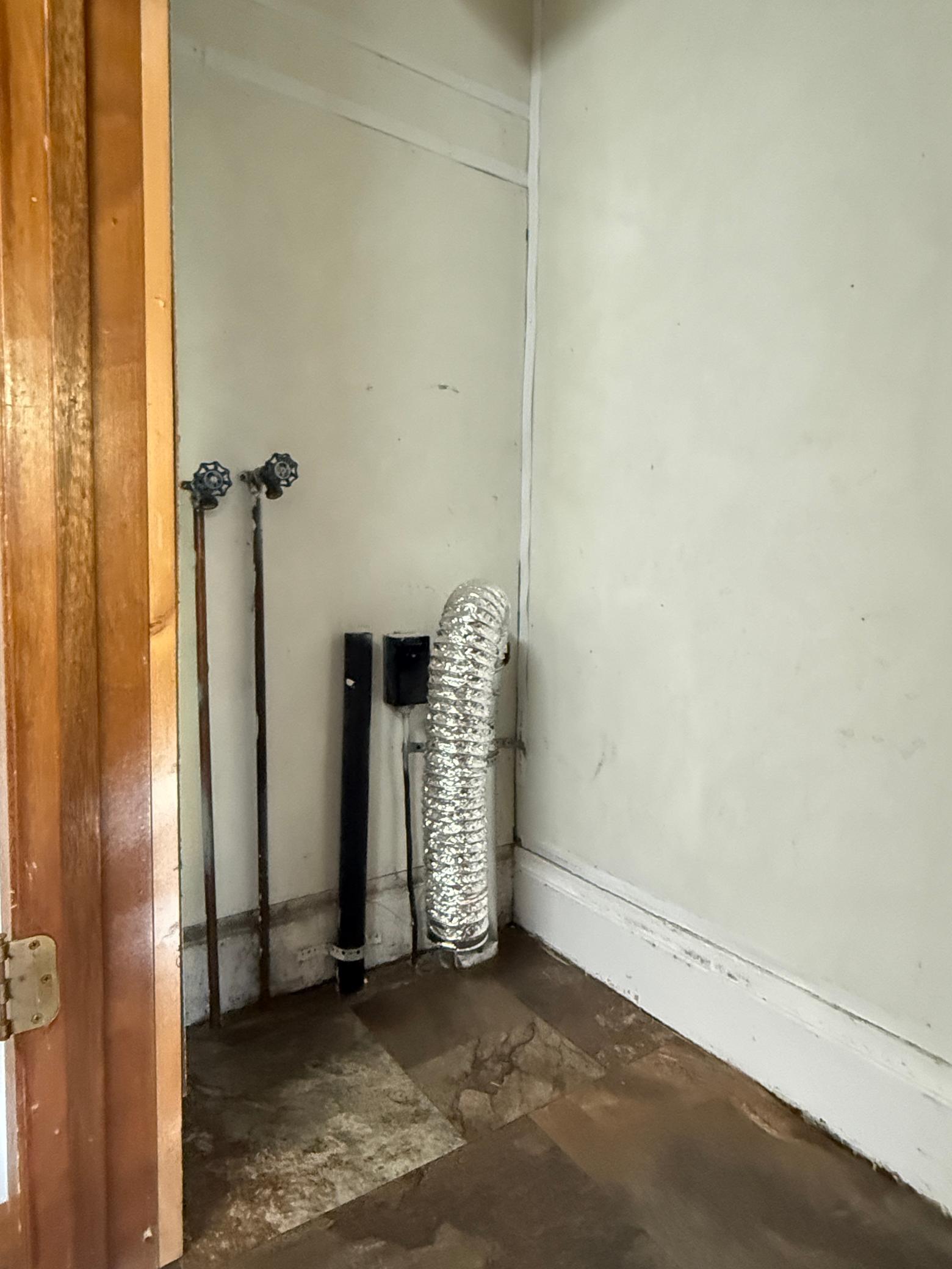 IMG_8217.JPEG