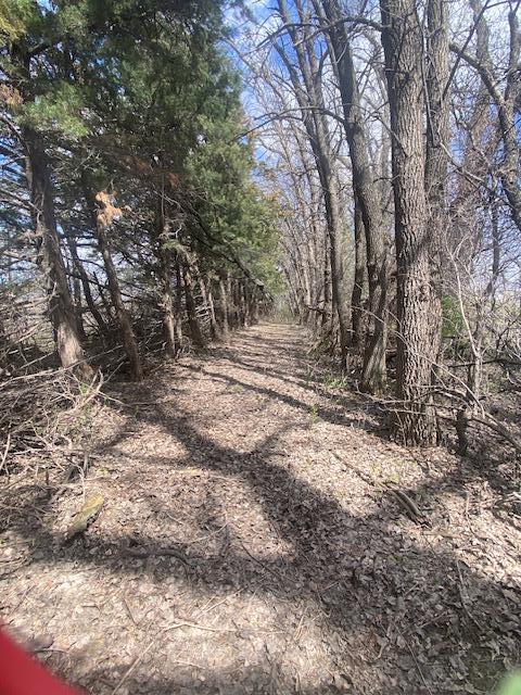 Walking path south to north