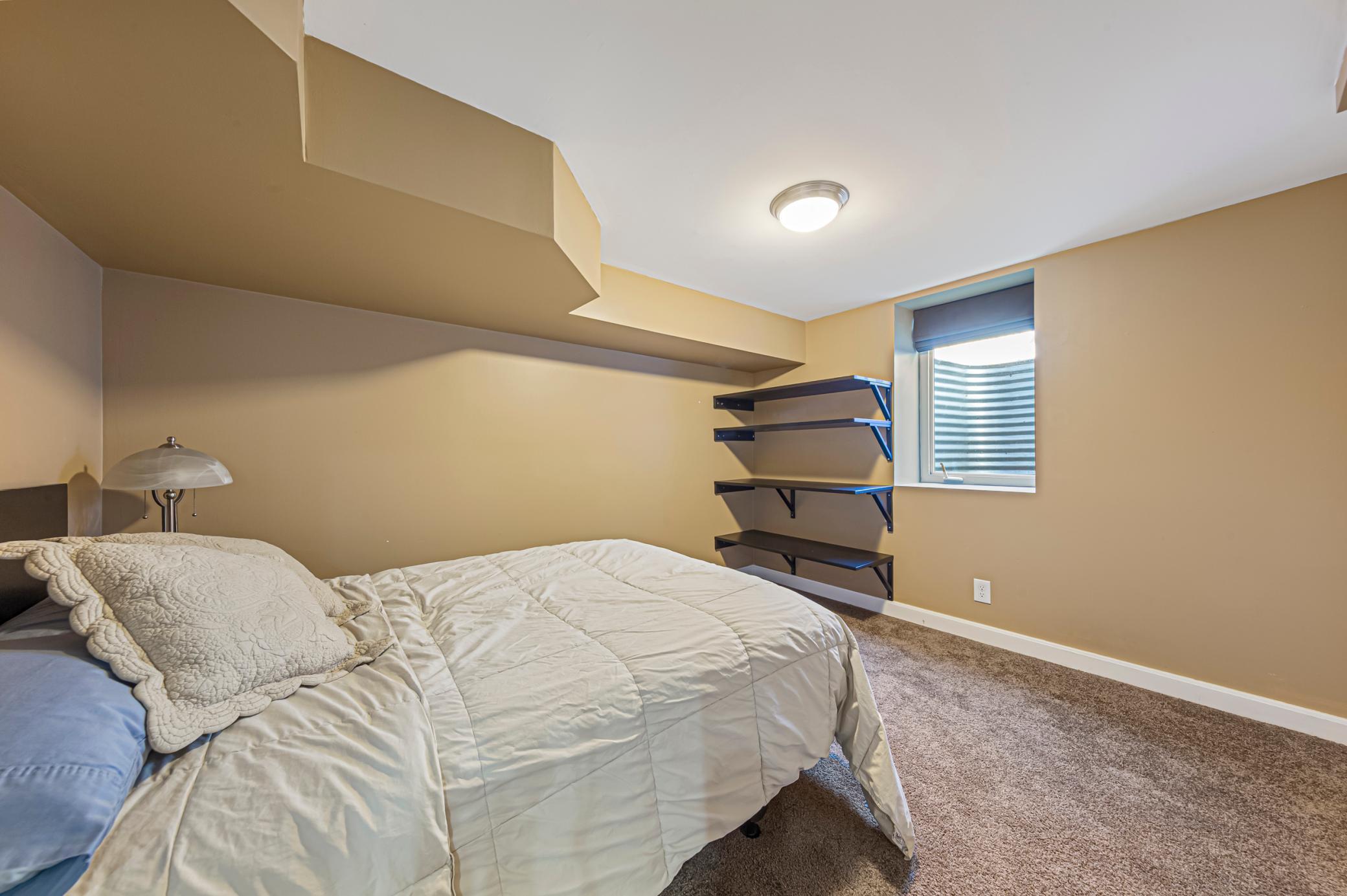 Lower level 4th bedroom