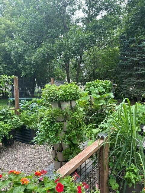 6432 3rd Ave S, Richfield - Garden 2.jpg