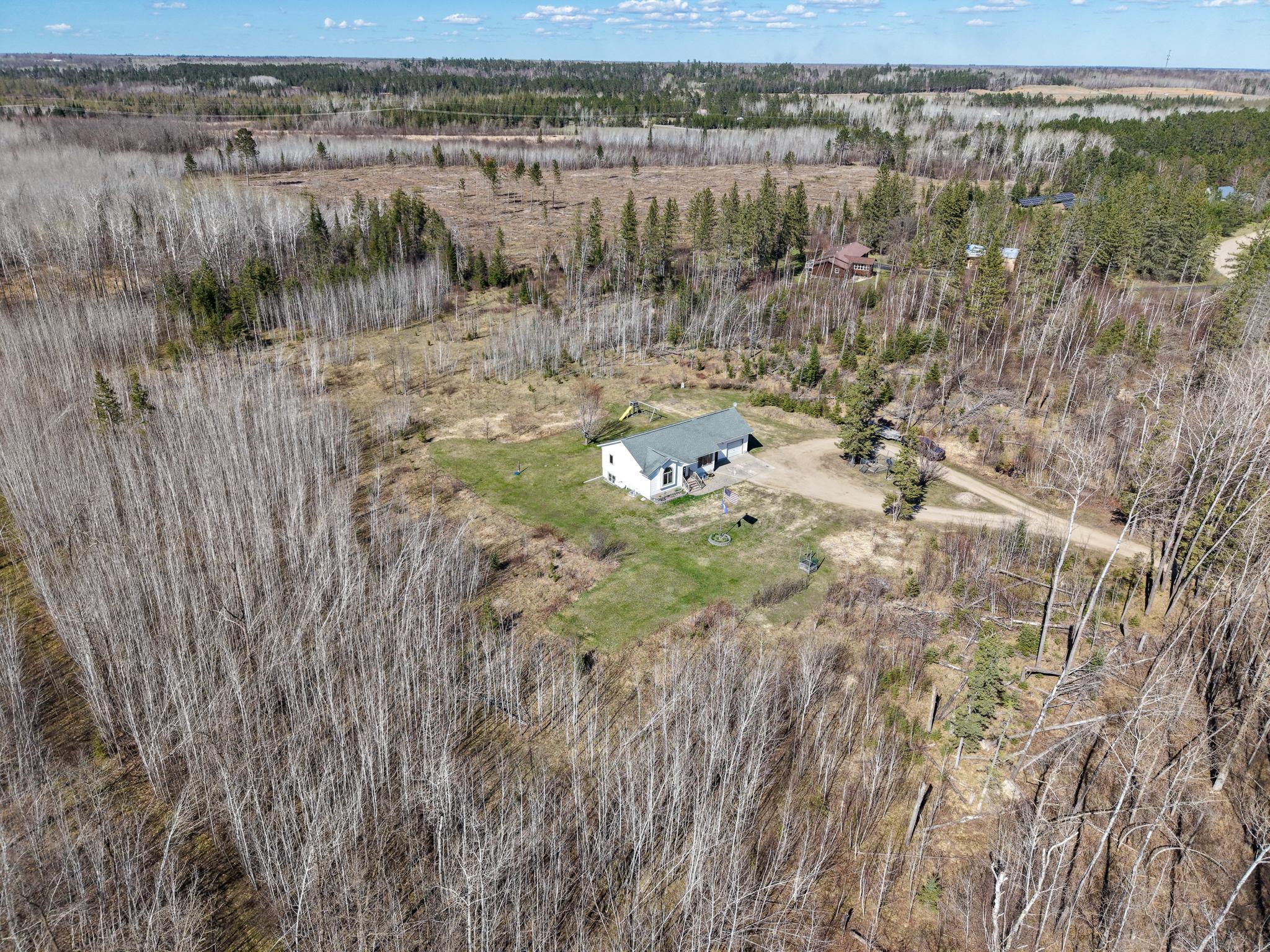 White Spruce Drone-2.jpg