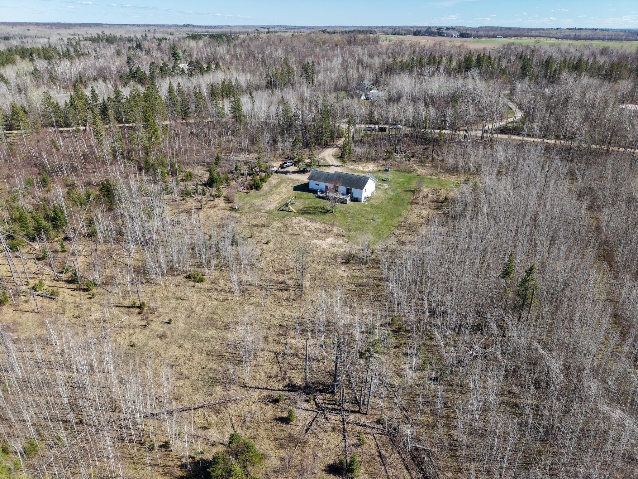 White Spruce Drone-4.jpg