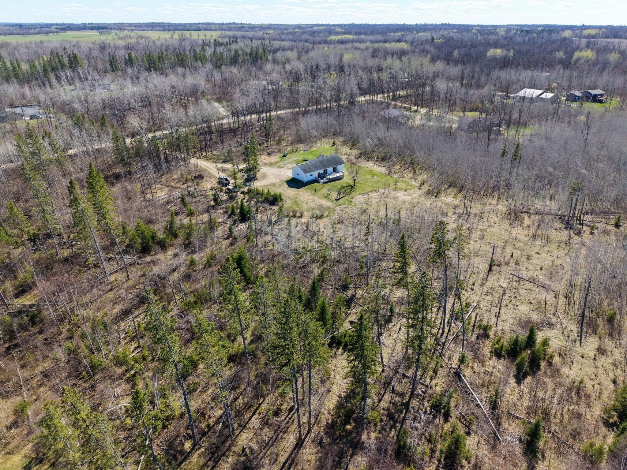 White Spruce Drone-5.jpg