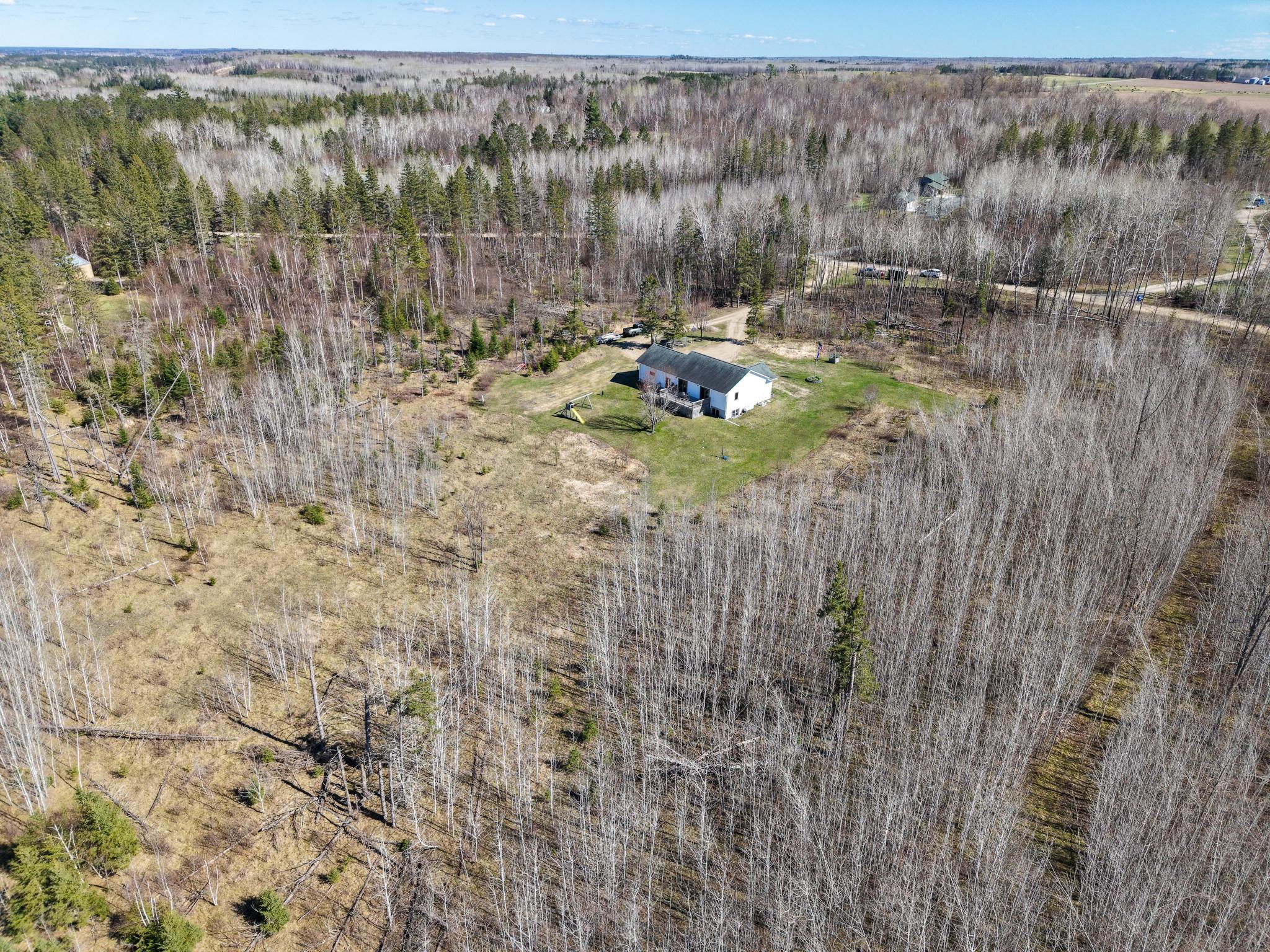 White Spruce Drone-3.jpg