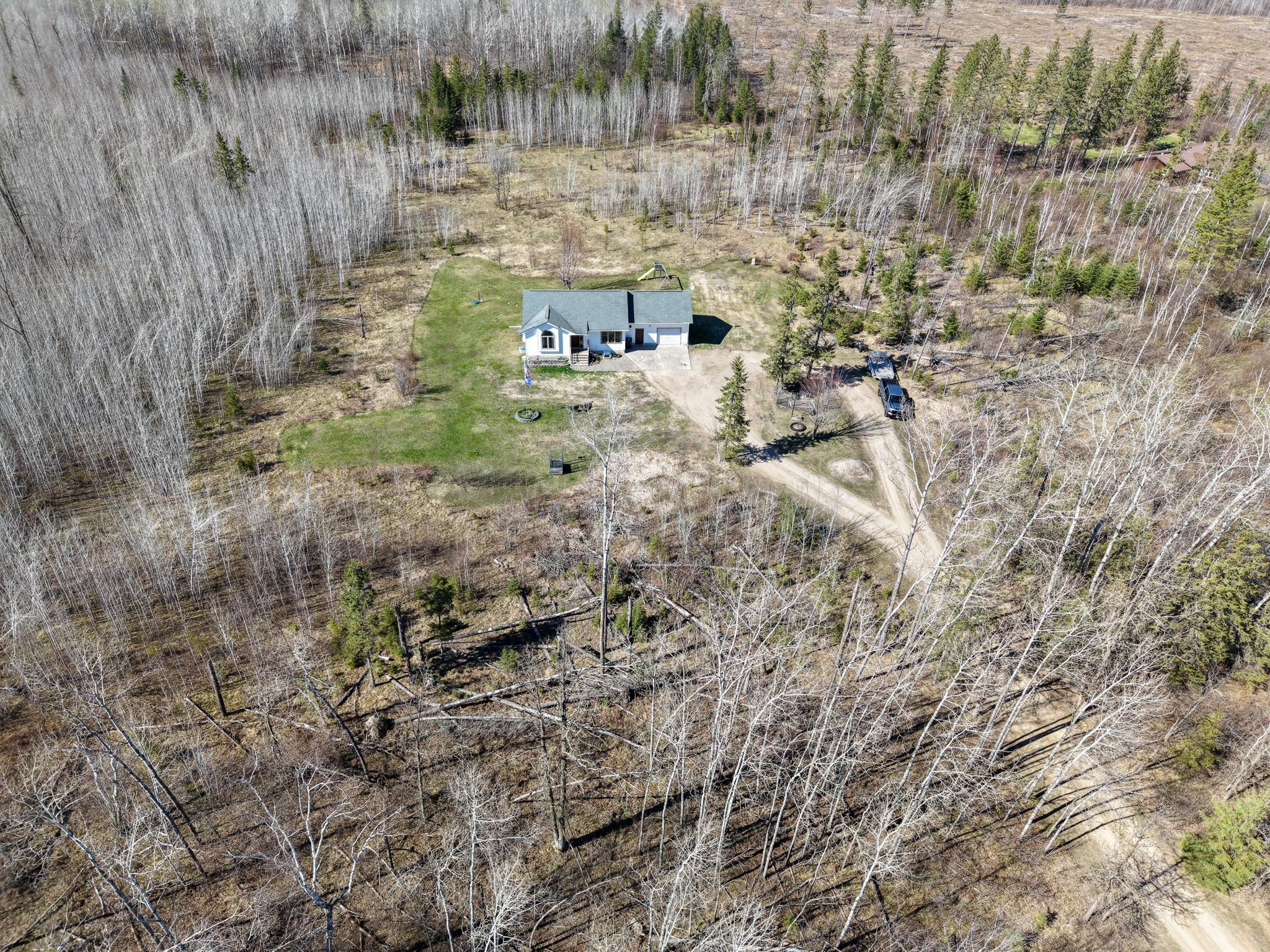 White Spruce Drone-1.jpg