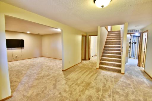 All new carpeting throughout the lower level