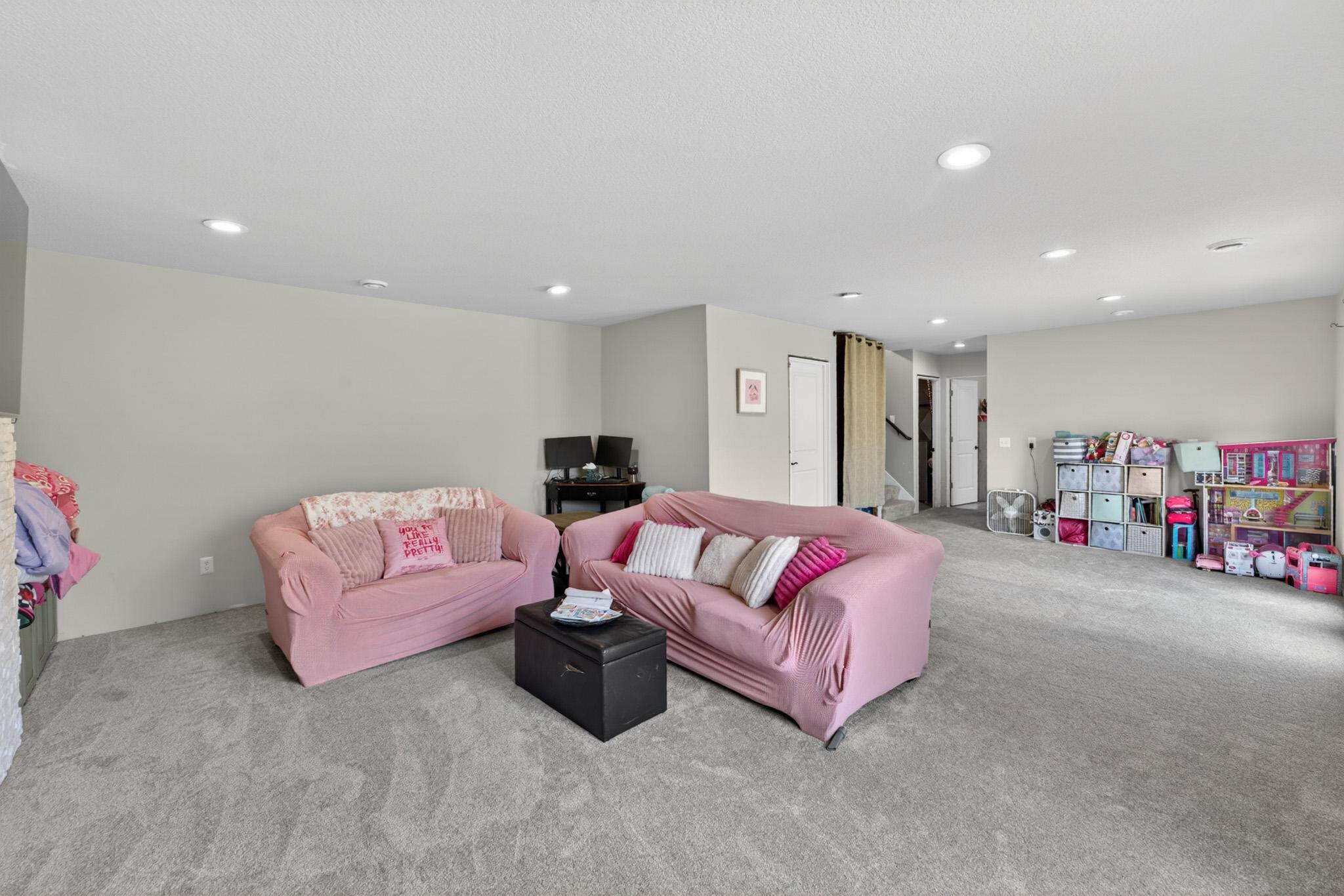 Lower level family room and flex space