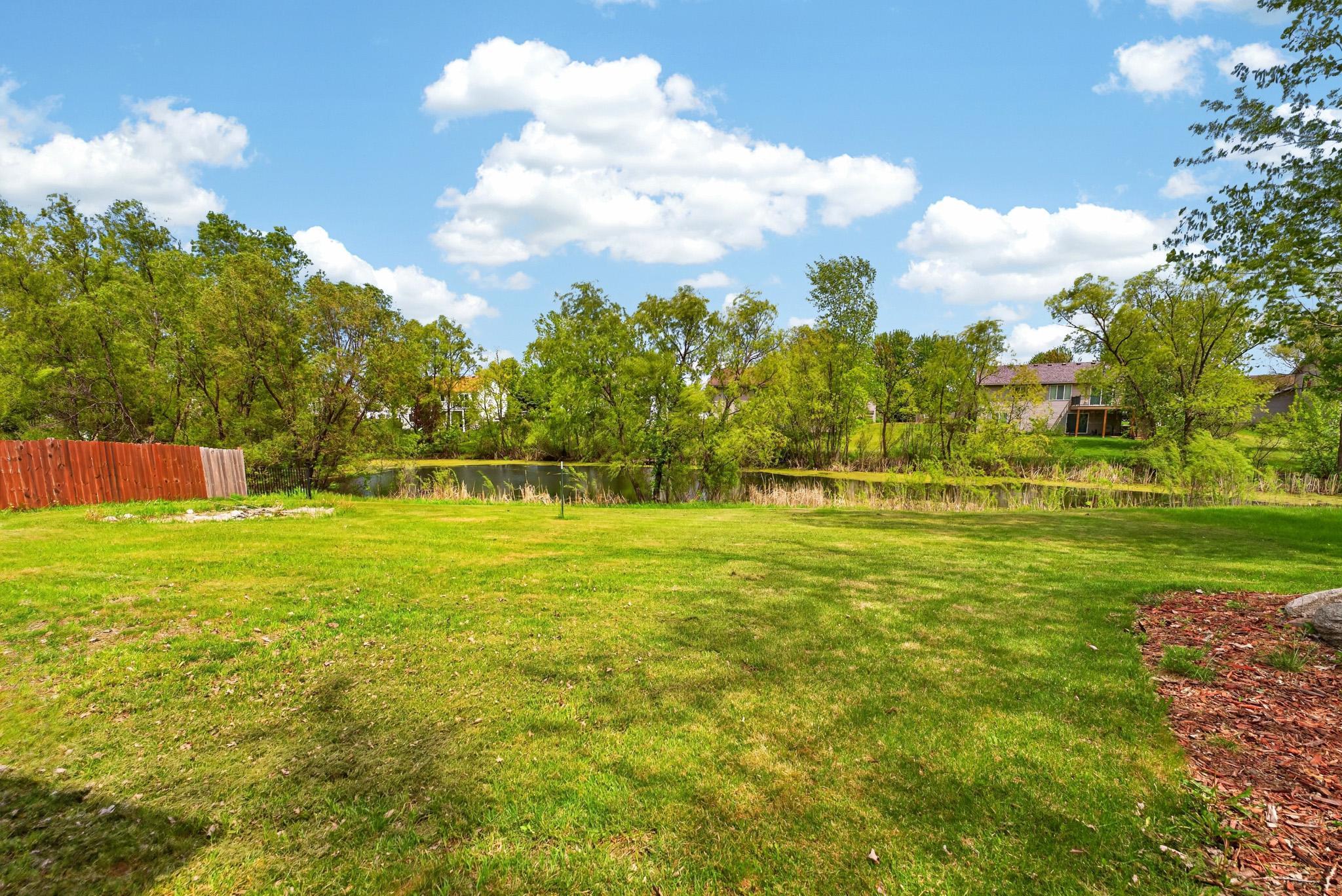 Back yard pond view