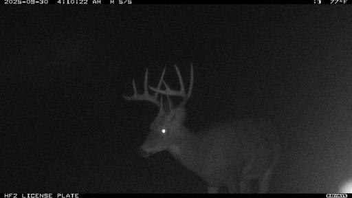 TBD N State Road 40, Exeland, WI 54835