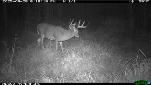 TBD N State Road 40, Exeland, WI 54835