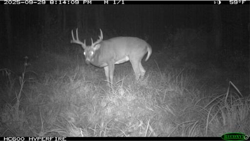 TBD N State Road 40, Exeland, WI 54835