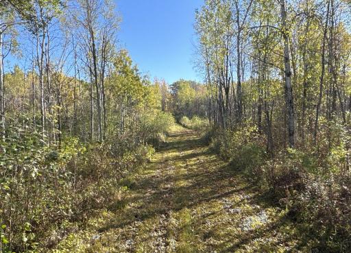 TBD N State Road 40, Exeland, WI 54835