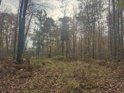 TBD N State Road 40, Exeland, WI 54835