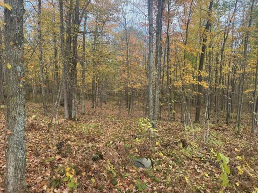 TBD N State Road 40, Exeland, WI 54835