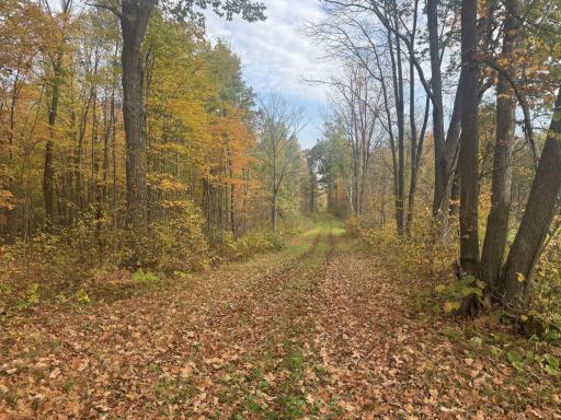 TBD N State Road 40, Exeland, WI 54835