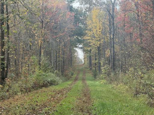 TBD N State Road 40, Exeland, WI 54835