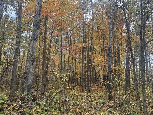 TBD N State Road 40, Exeland, WI 54835