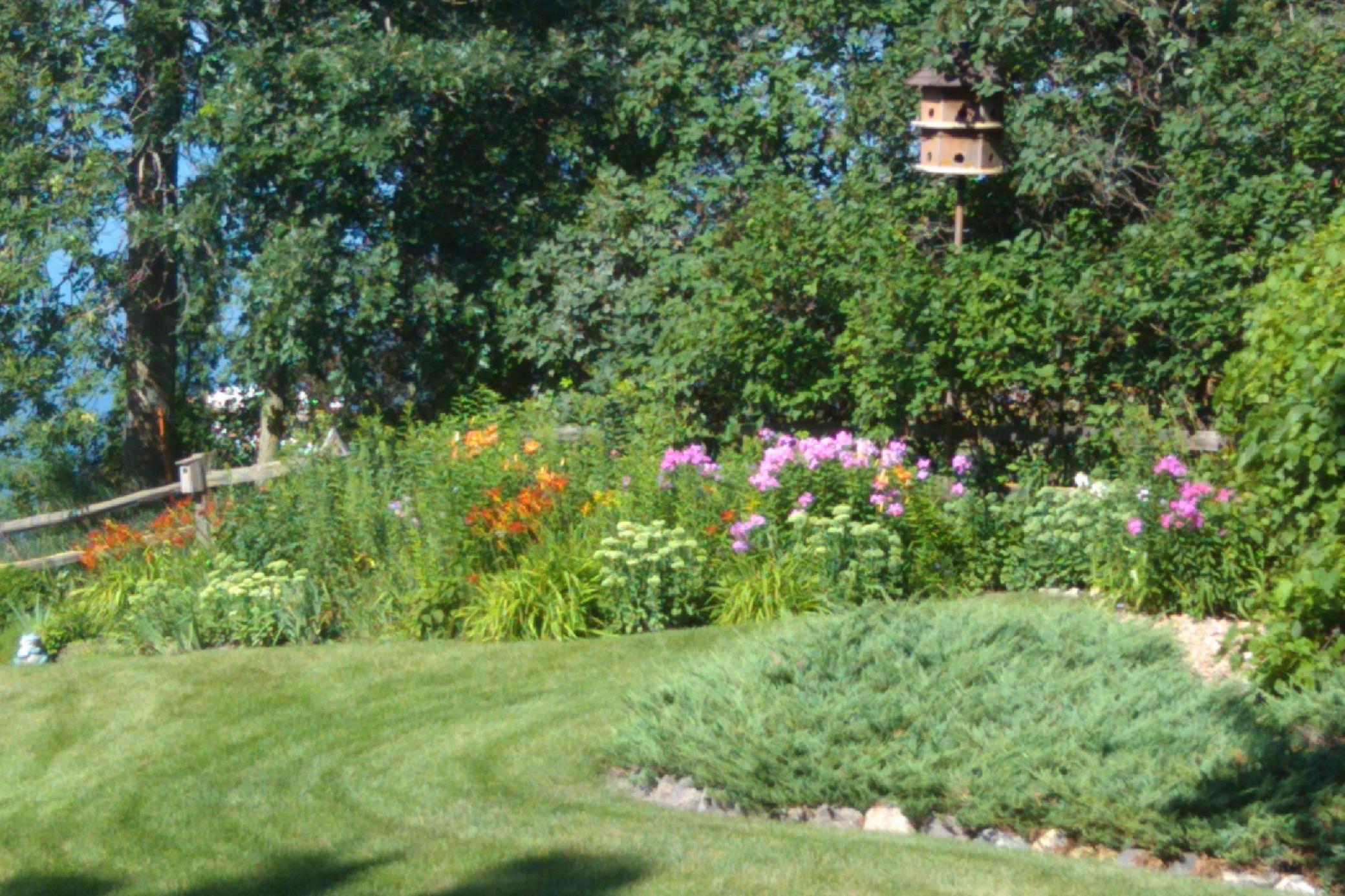 IMAG0144.jpg