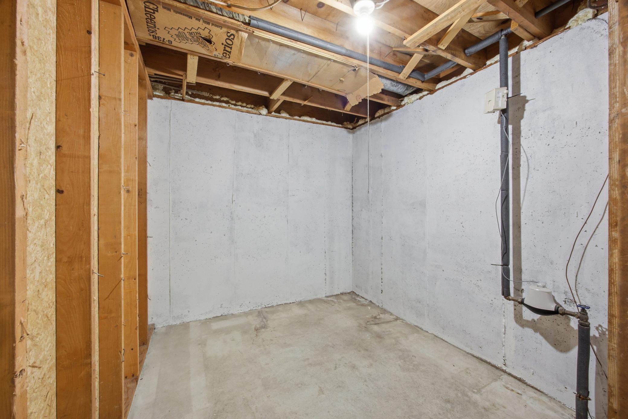 Unfinished Basement