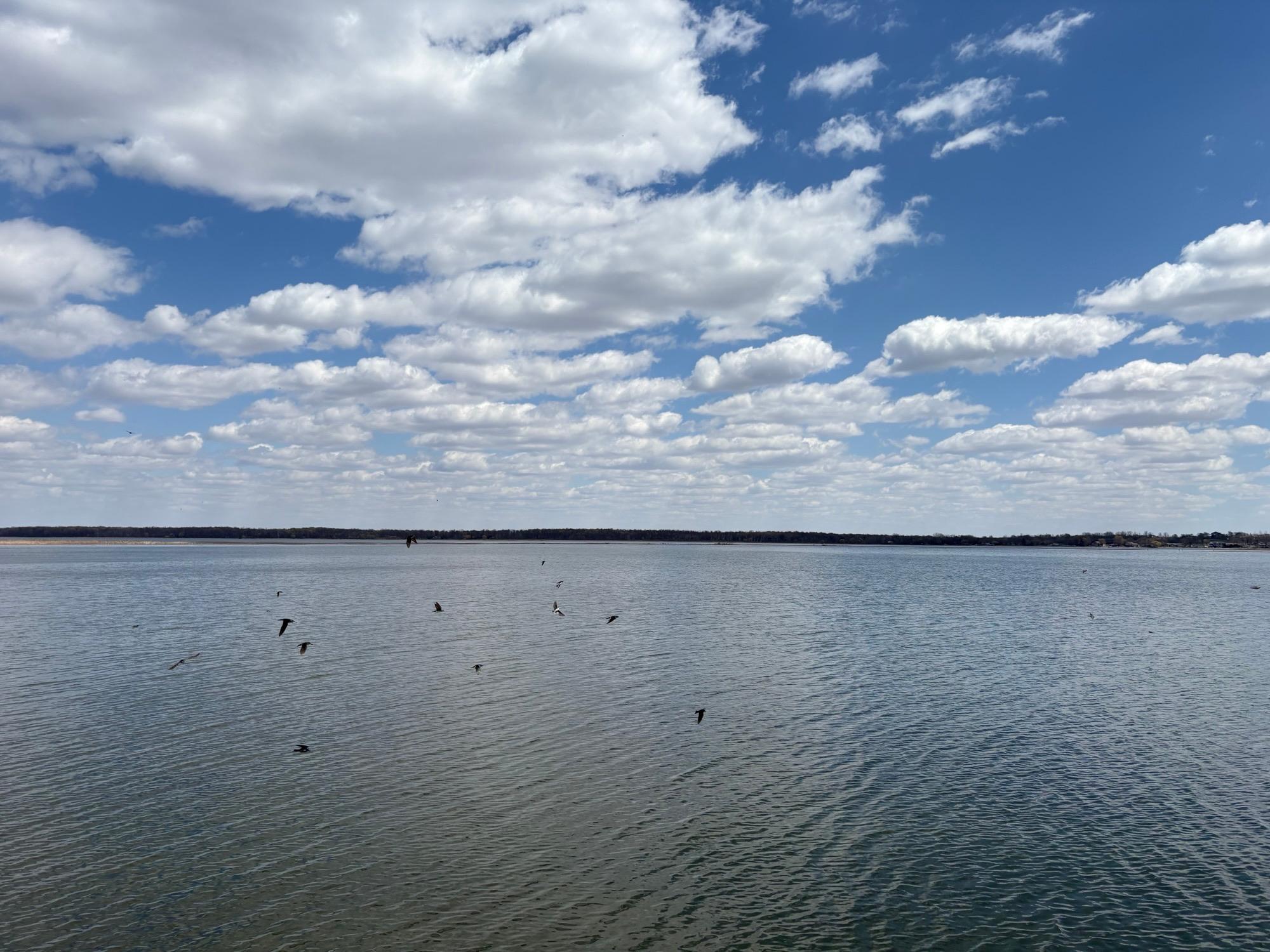 IMG_6628.jpeg