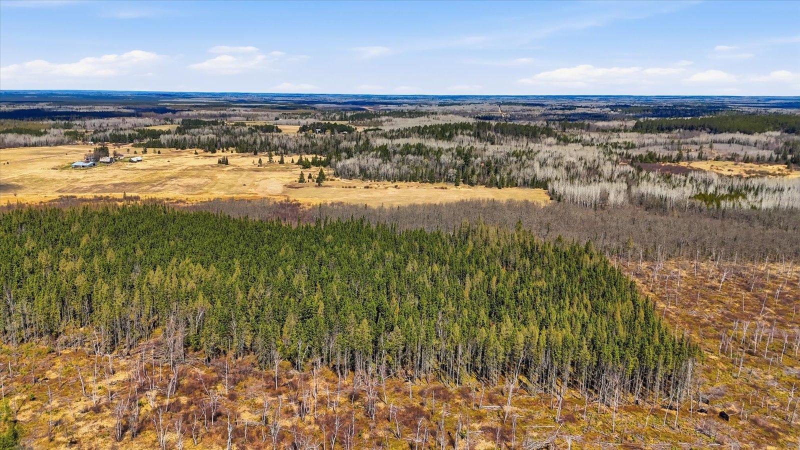 3-DJI_20260513120857_0180_D.jpg