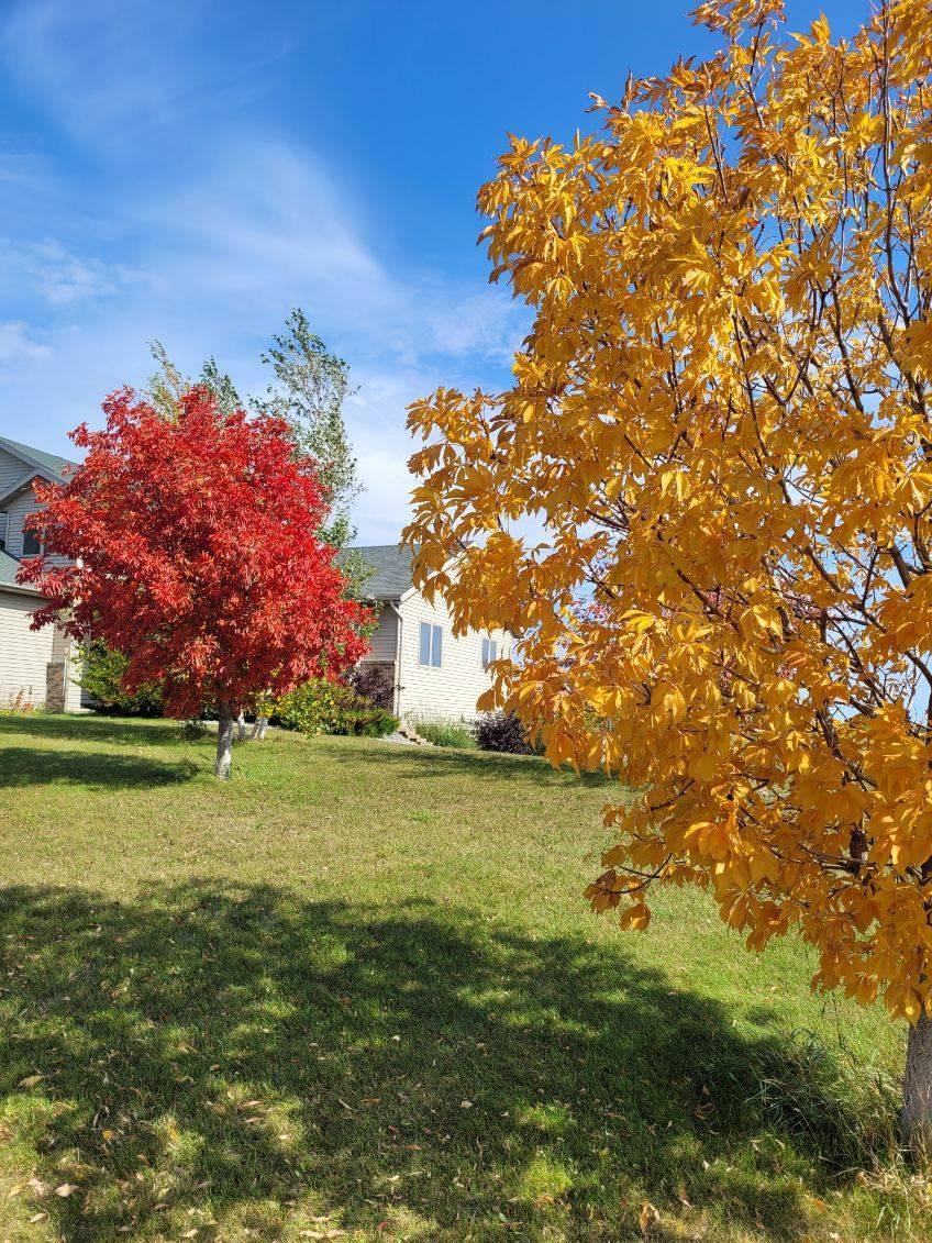 Fall