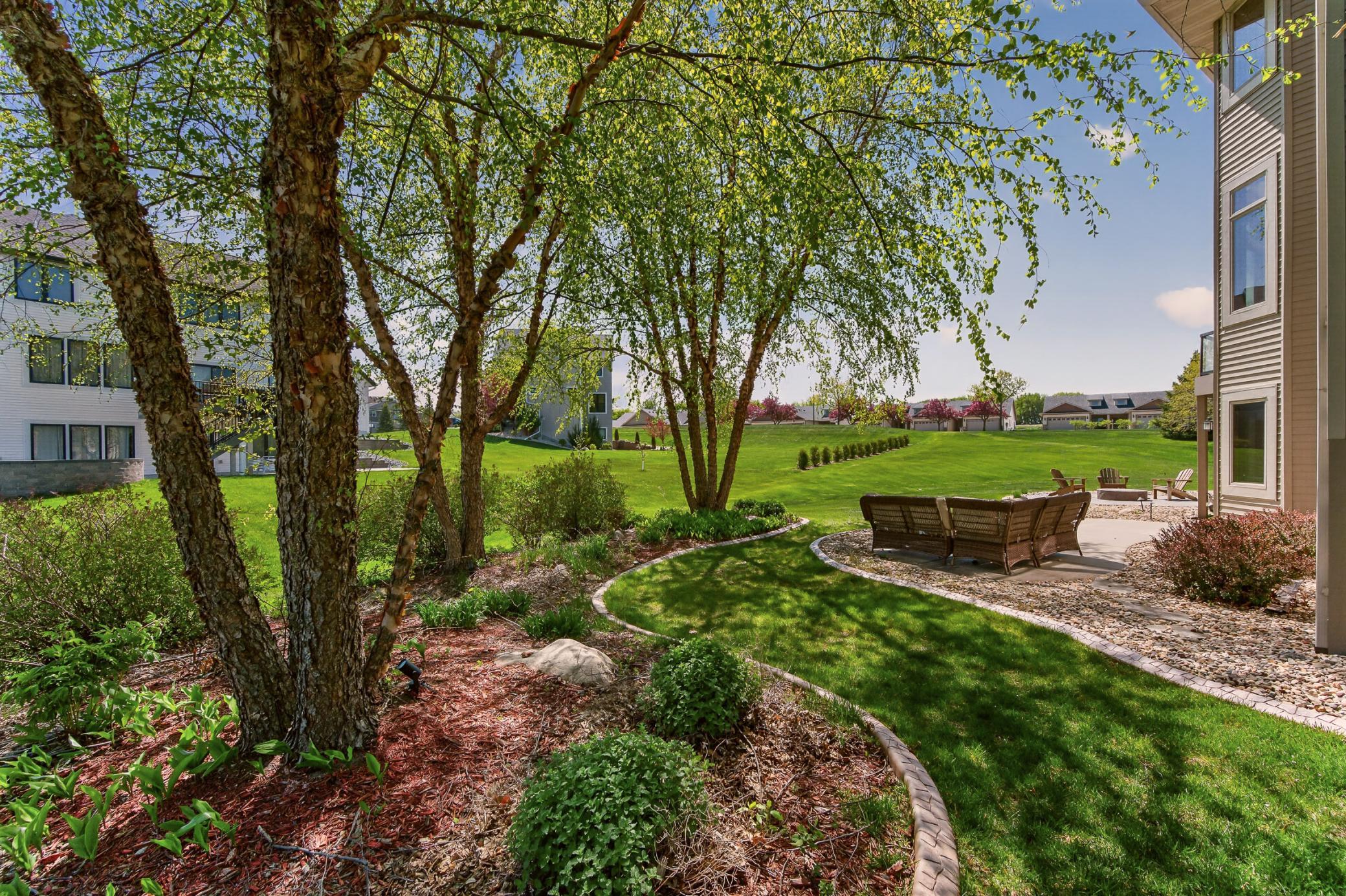 Back yard.jpg
