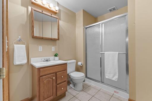 Lower level 3/4 bathroom with large storage closet