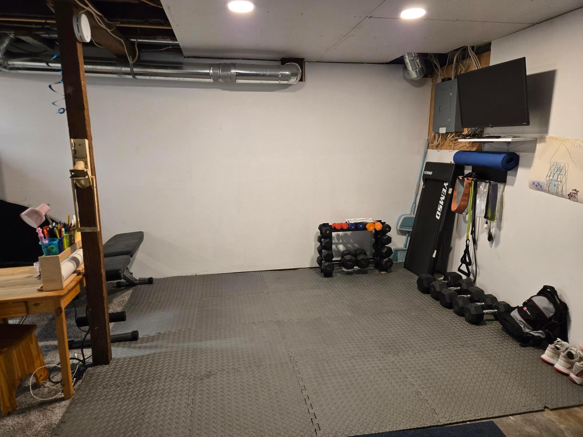 Lower level work out area