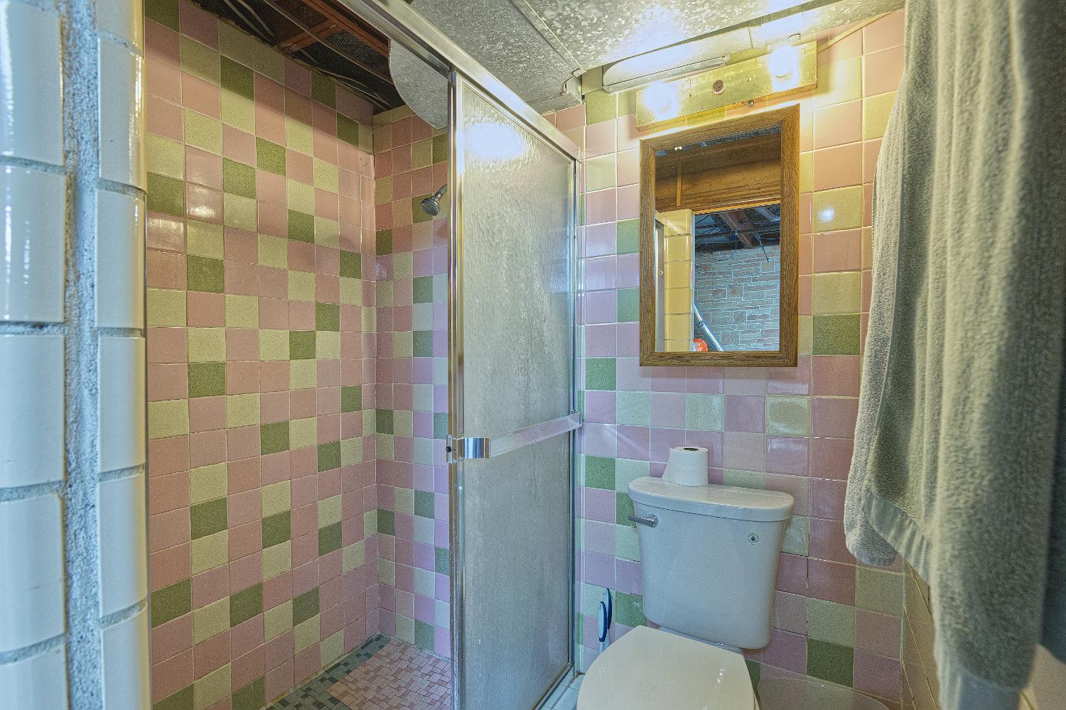Lower level 3/4 bath off of laundry/rec area