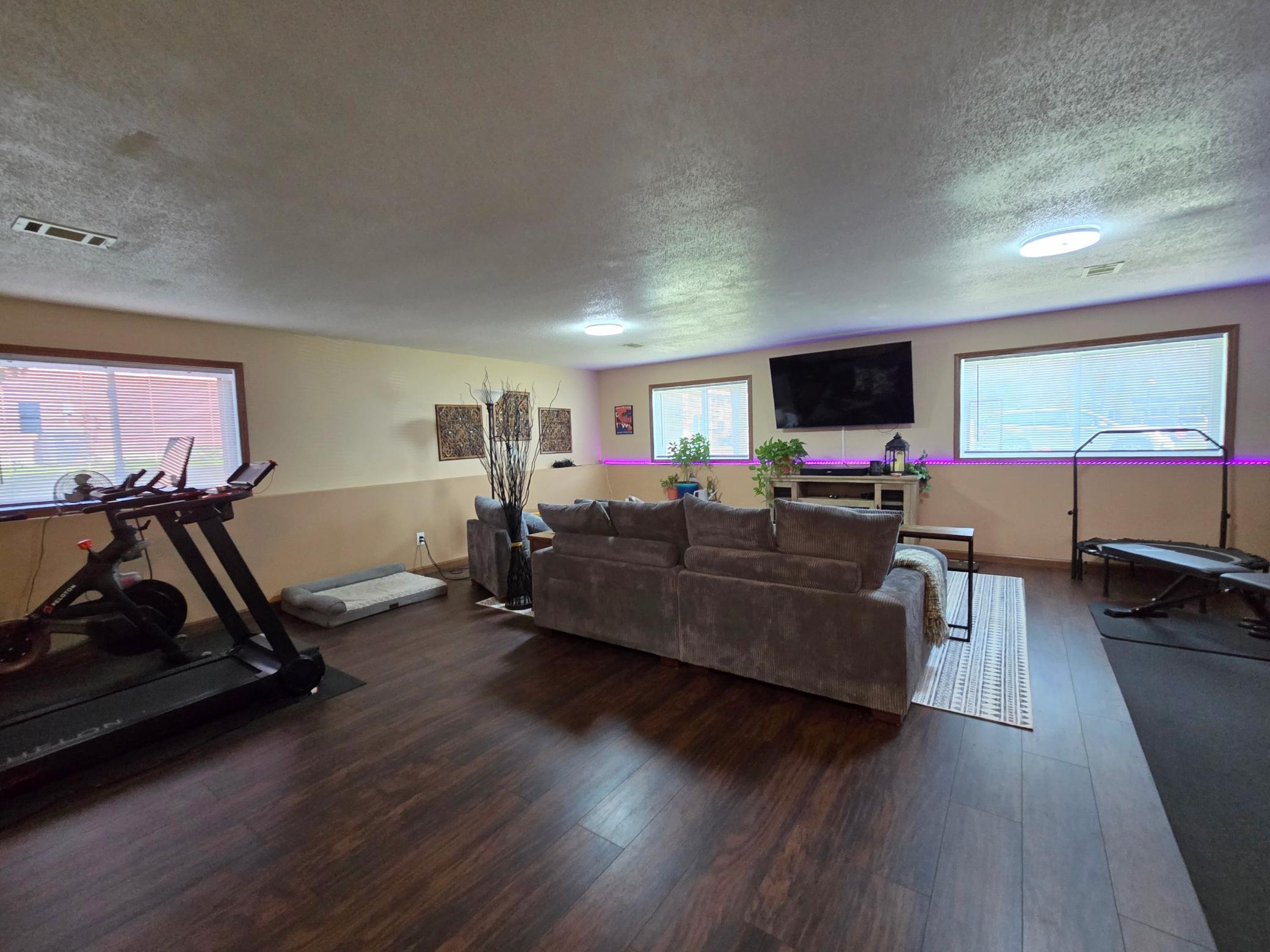 Lower Level Family Room