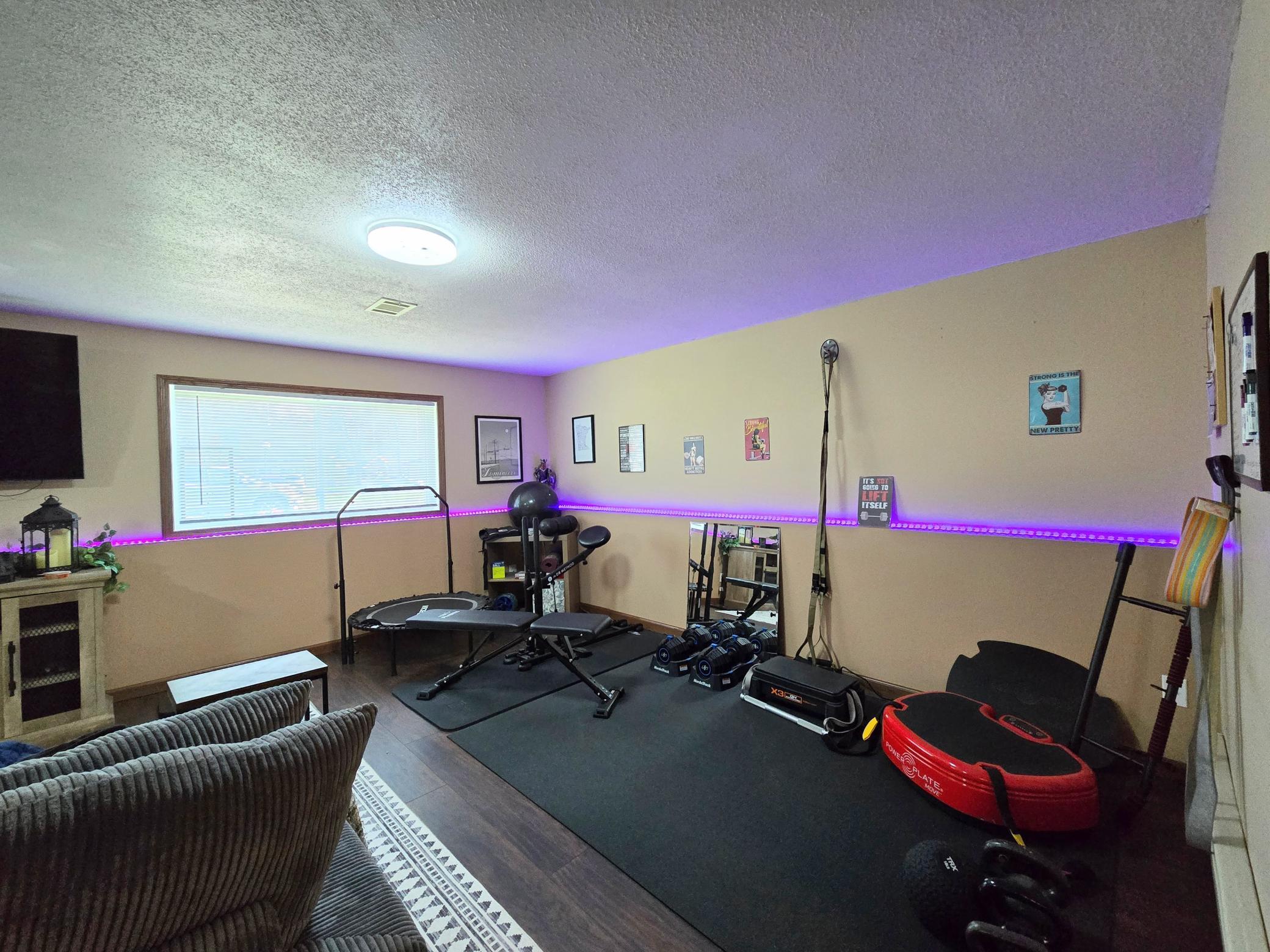 Lower Family Room/Exercise Room