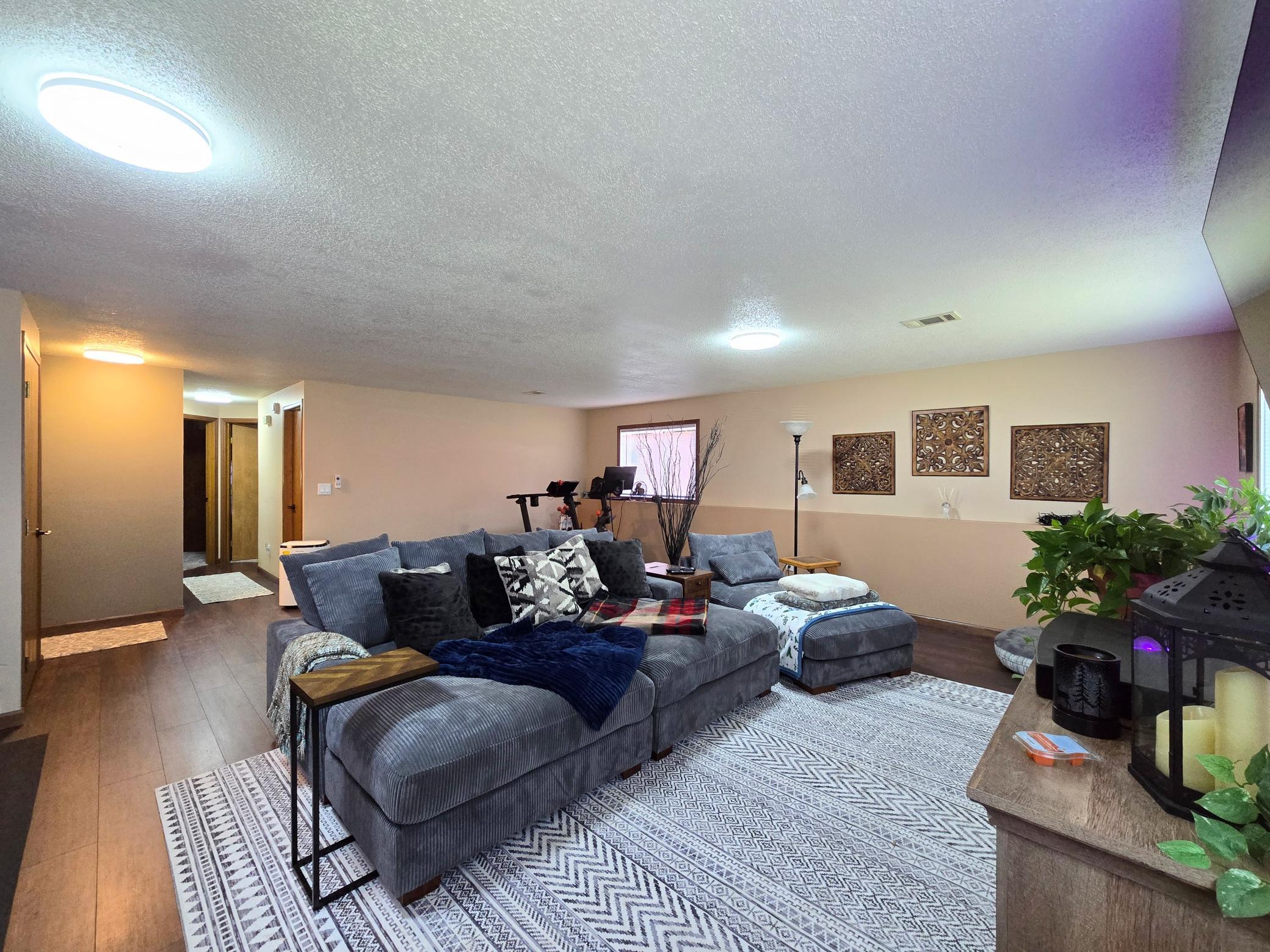 Spacious Lower Level Family Room