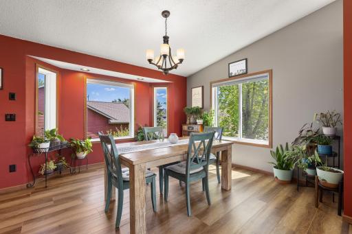 Newer LVP Flooring