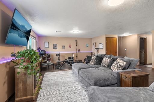 Spacious Lower Level Family Room