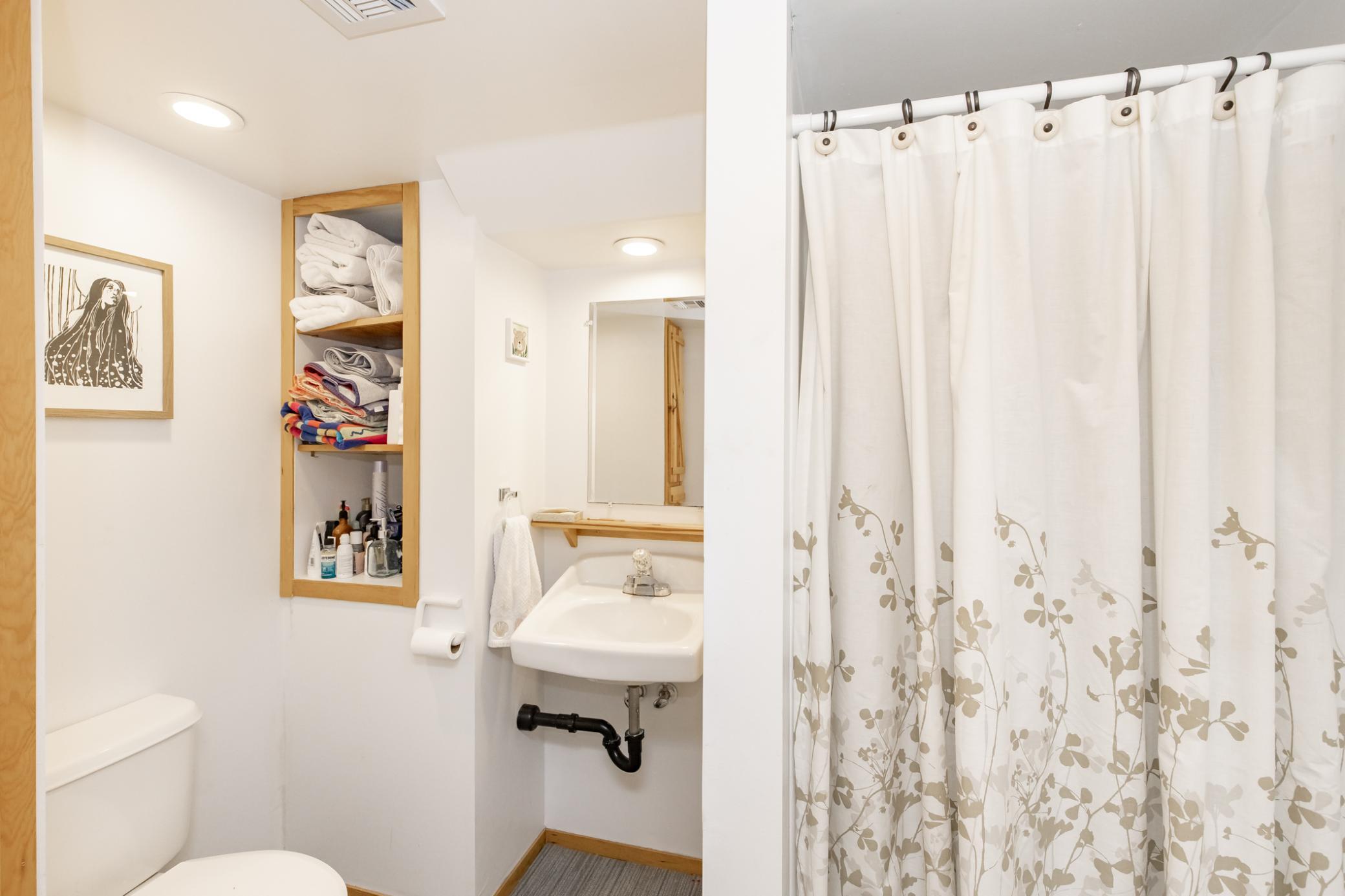 Bathroom - basement