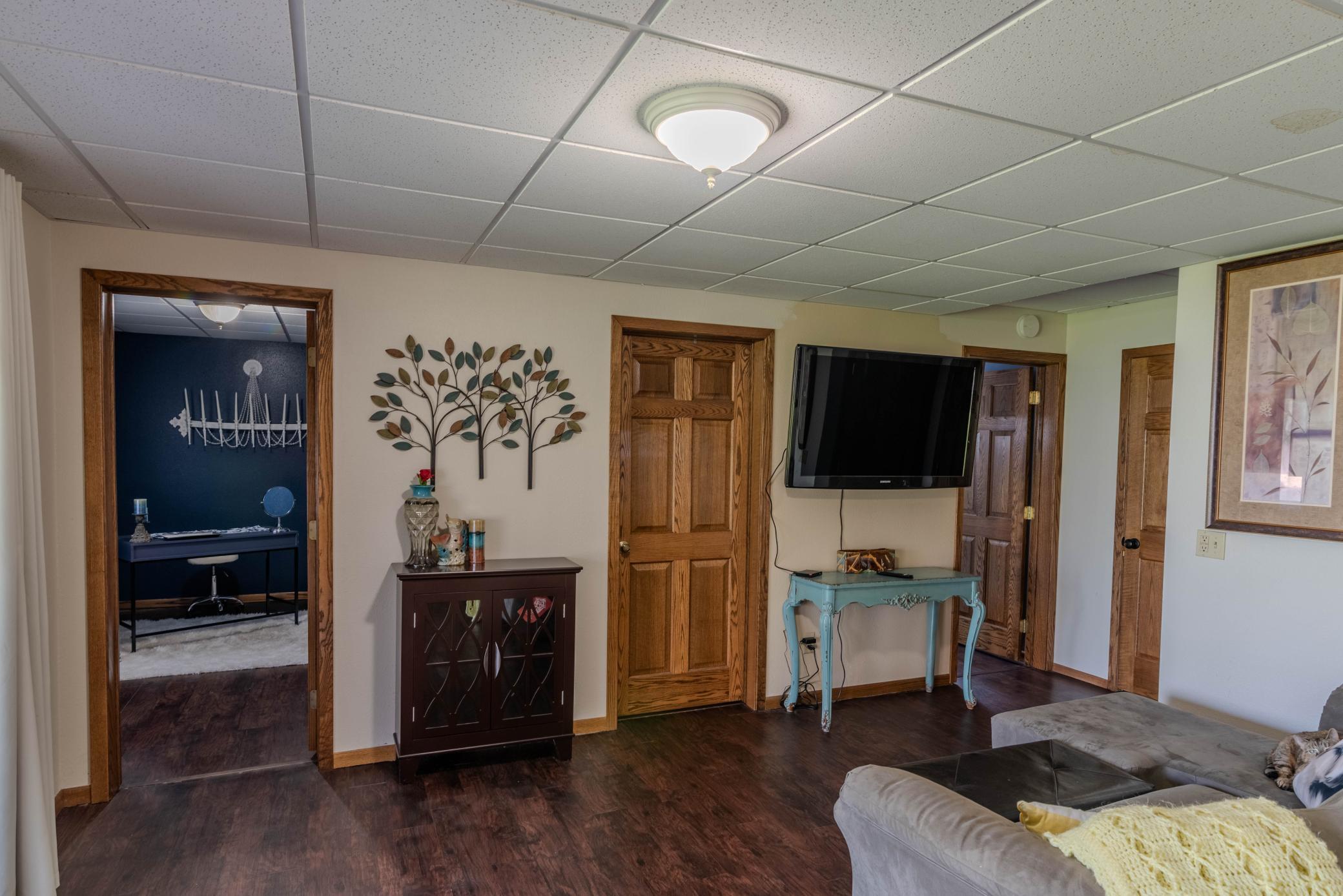 Downstairs Family Room 2