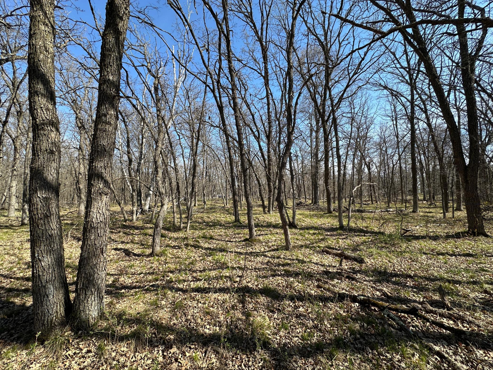 IMG_8825.JPG