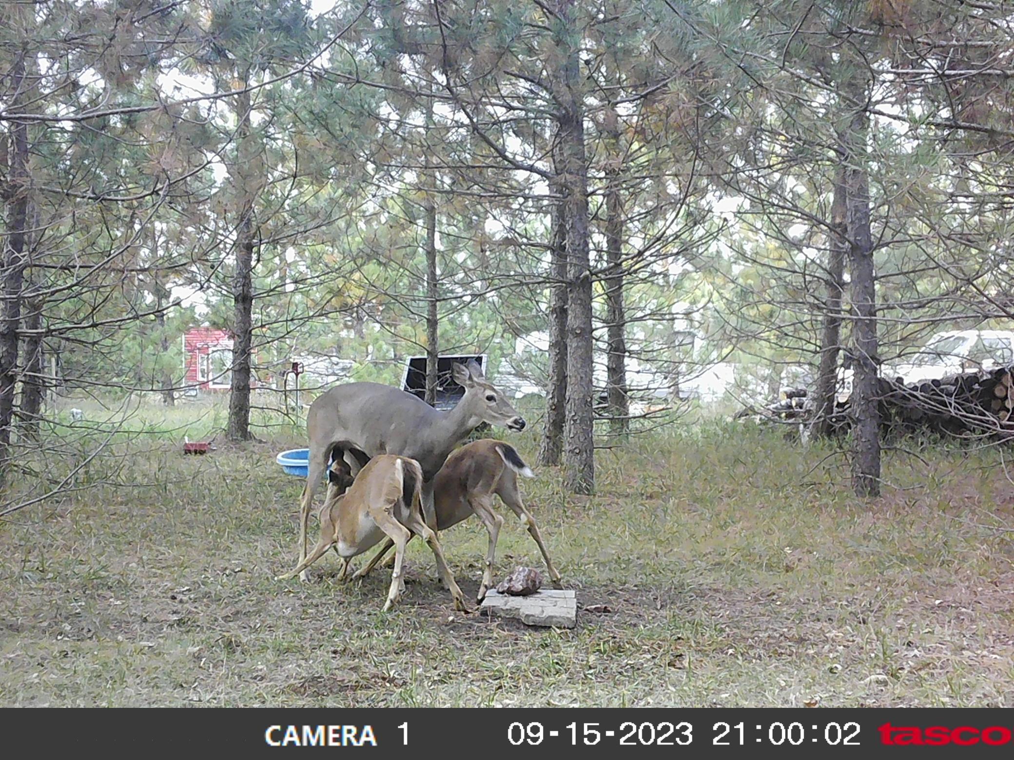 10a.JPG