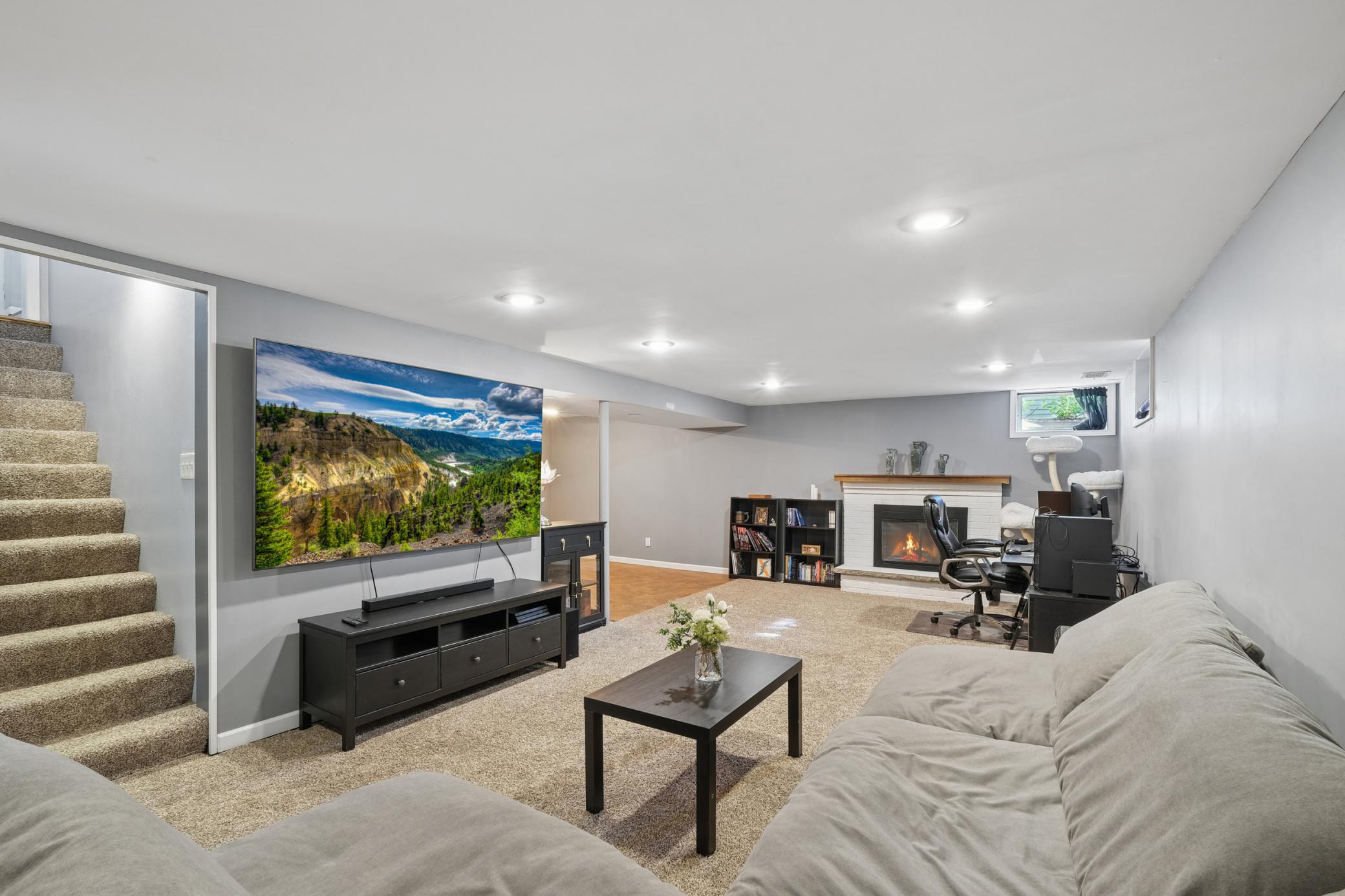 Lower Level Family Room
