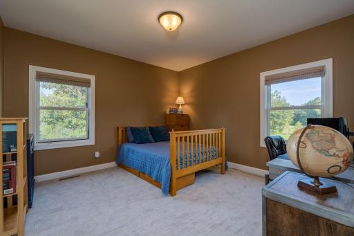 29193 Biehn Drive, Madison Lake, MN 56063