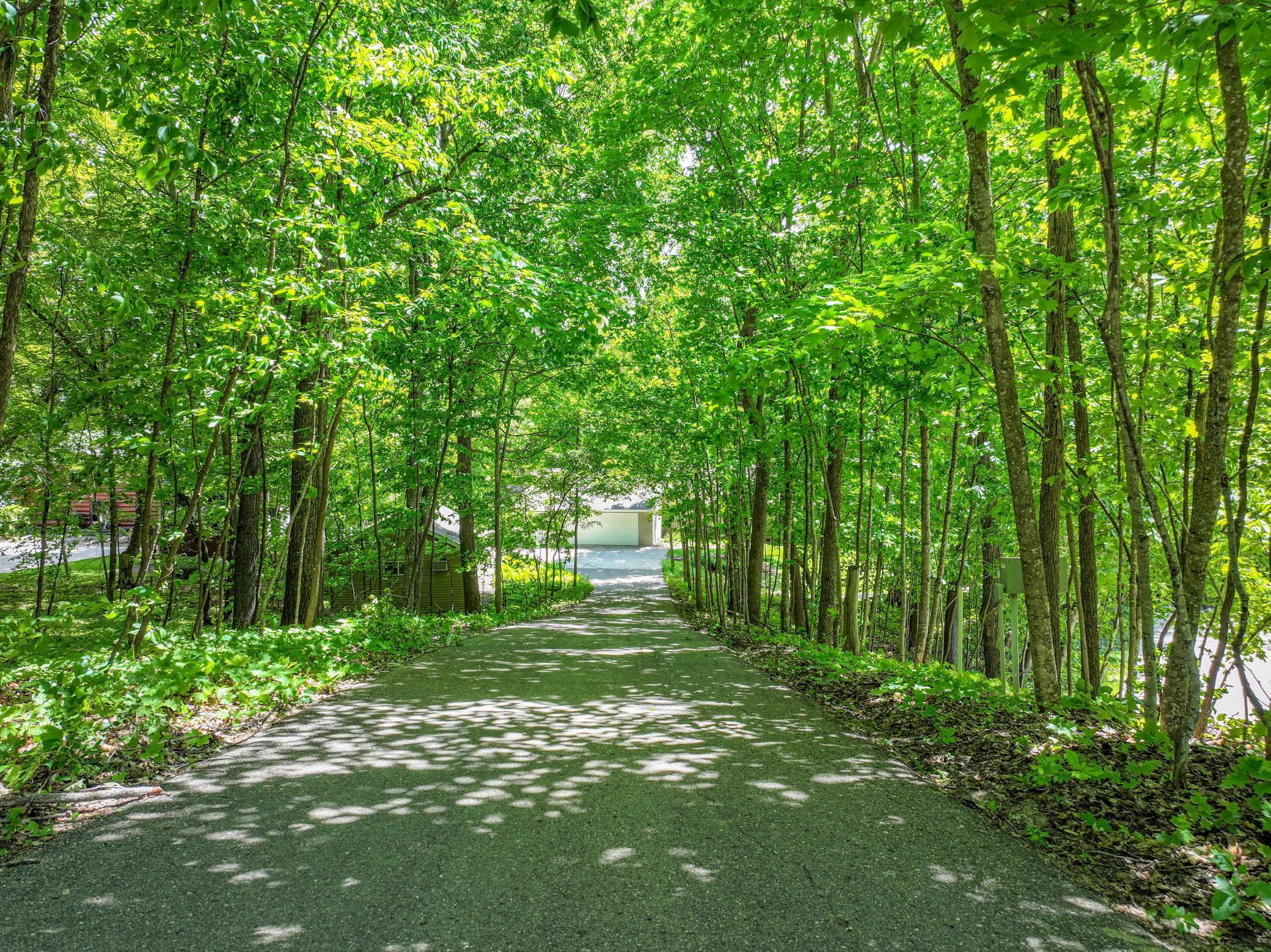 Driveway with Tree Coverage