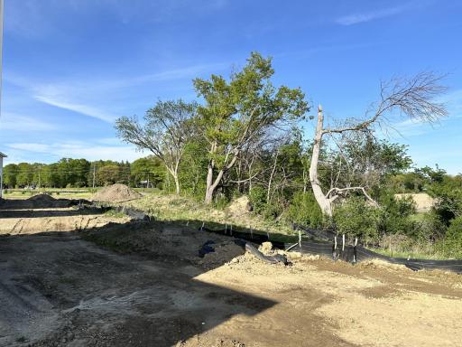 (Photo is of the actual backyard in progress.)