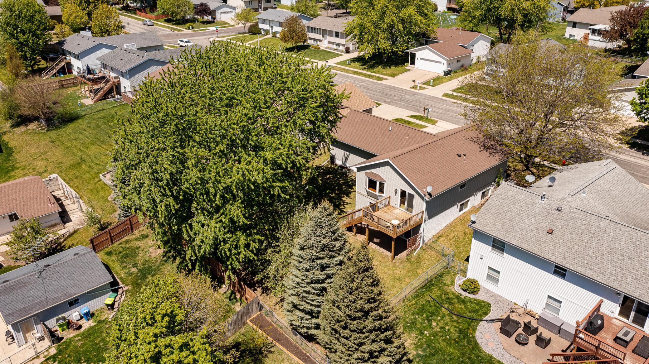 Aerial View Back