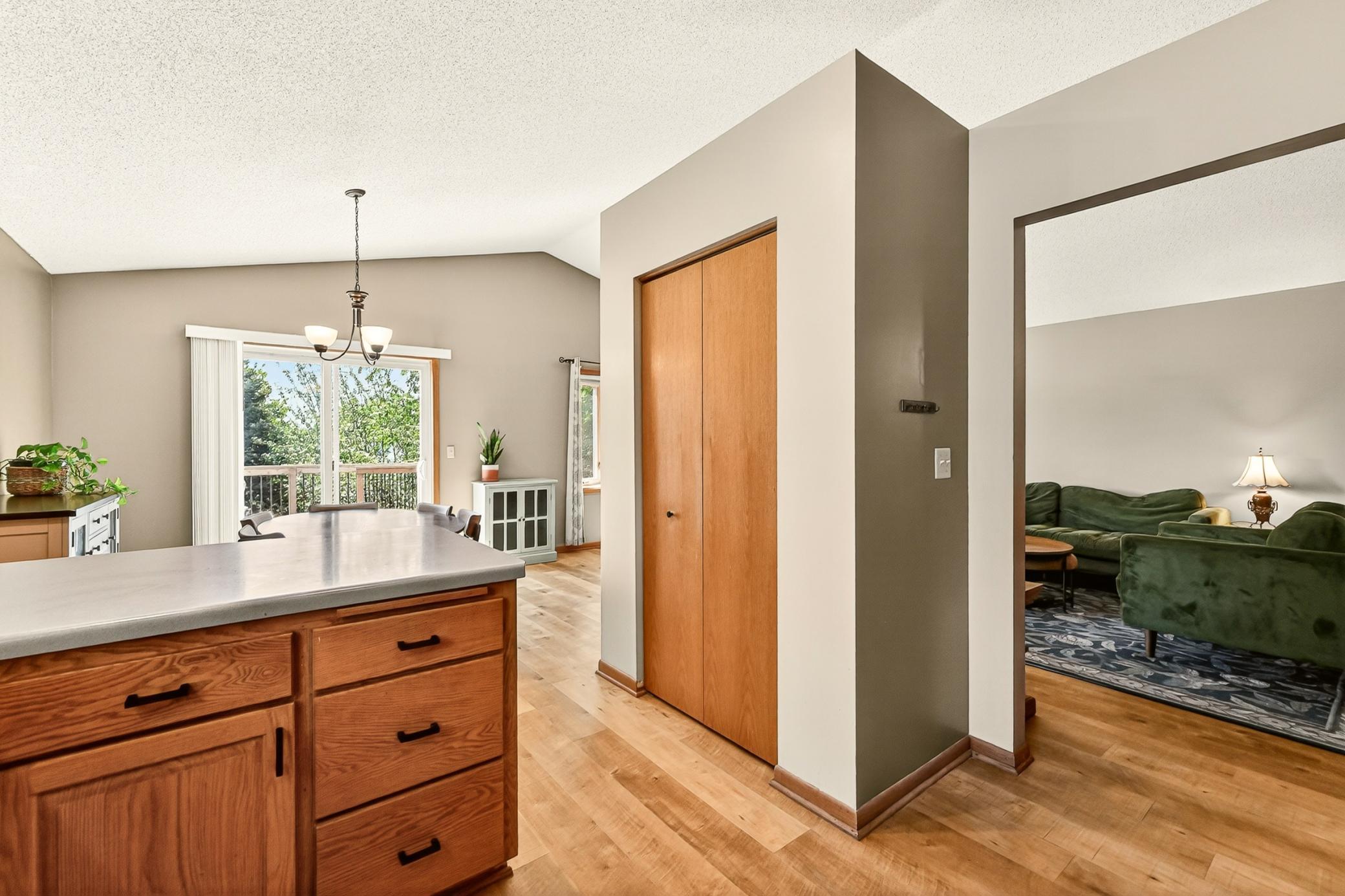 Kitchen/Pantry Closet