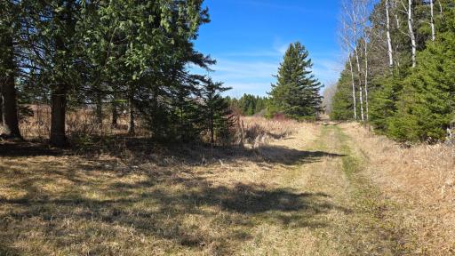 3293 Greaney Road, Orr, MN 55771