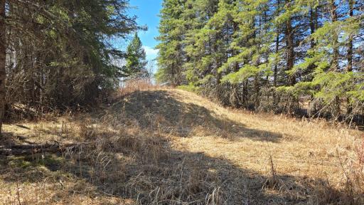 3293 Greaney Road, Orr, MN 55771