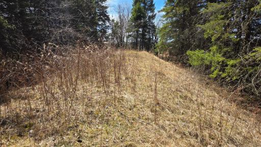 3293 Greaney Road, Orr, MN 55771